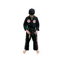 Karate Taekwondo Sticker by Team GMA