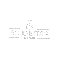 Schneidigandi Sticker by Andi Schneidig
