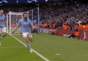 Sliding Uefa Champions League GIF by UEFA
