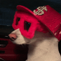 50Cent GIF