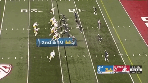 SchaufDS giphygifmaker GIF