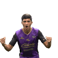 Mazatlan Sticker by Mazatlán F.C.