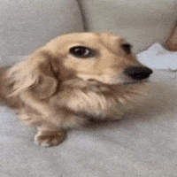 Awkward What The Hell GIF