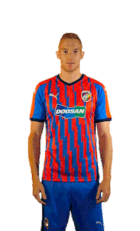 prochazka Sticker by FCVP