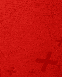 Bundesliga Bayern GIF by Bayer 04 Leverkusen