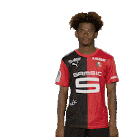 Ligue 1 Football Sticker by Stade Rennais F.C.