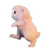 Ken Jeong Animation Sticker by NETFLIX