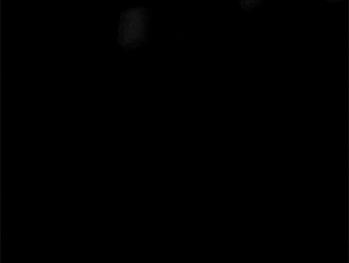 f. w. murnau city GIF by Maudit