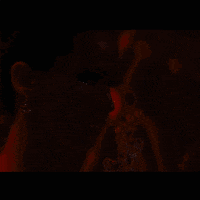 GIF by Wantering