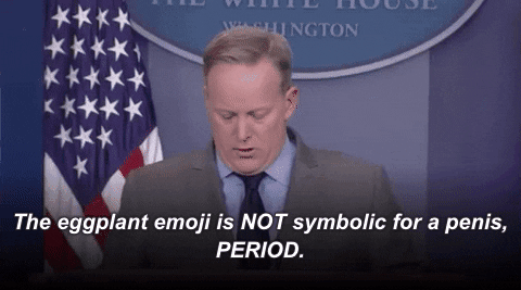 Sean Spicer GIF by Election 2016