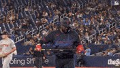Blue Jays Smile GIF by Toronto Blue Jays