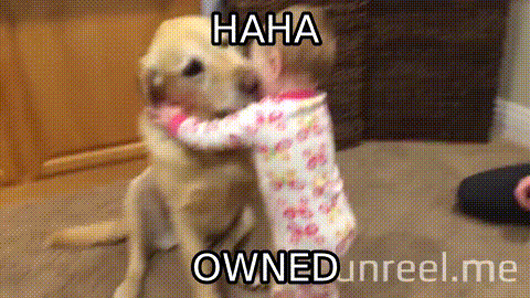 viral video lol GIF by Unreel Entertainment