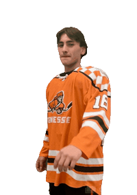 Ice Vols Sticker by Tennessee Hockey