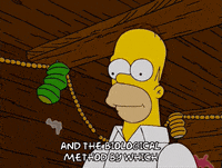 homer simpson GIF