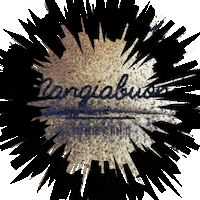 Mangiabuono food cheese sandwich italian GIF