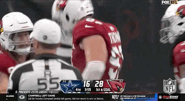 National Football League GIF by NFL