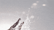 horror GIF by Vulture.com