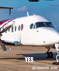 GIF by Tropic Air Belize