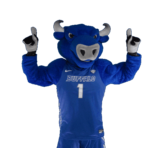 Swipe Up University At Buffalo Sticker by ubuffalo