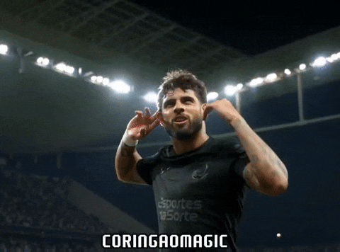 Santos Fc Futebol GIF