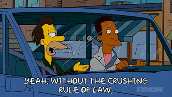 Season 19 Episode 3 GIF by The Simpsons