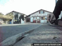 Skate Sw GIF