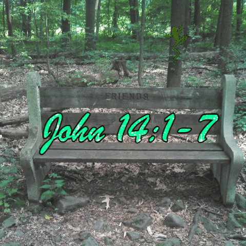 Toastmasters giphygifmaker giphyattribution faith leadership GIF