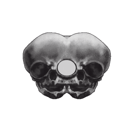 FLORALARTFANCY halloween vintage skull victorian Sticker