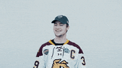 ncaasports hockey college ncaa ice GIF