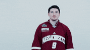 ncaasports hockey college ncaa ice GIF