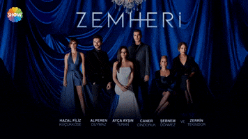 Zemheri GIF by Show TV