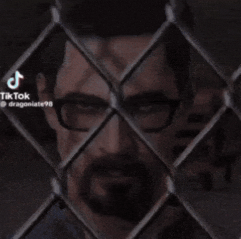 Half Life Fire GIF