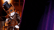 Fox GIF by The Masked Singer