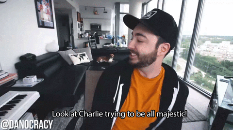 dan james dog GIF by Much