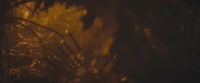 buzzin GIF by Alina Baraz