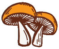pansmushroomjerky mushrooms mushroom dance mushroom jerky cute mushrooms Sticker