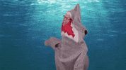 Awesome You Can Do It GIF by Shark Week