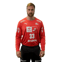 Handball Kiel Sticker by DAIKIN HBL