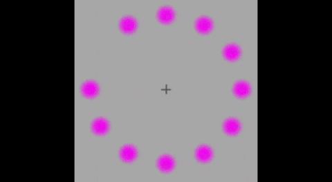 wetar giphycreatortest loading roll rick GIF