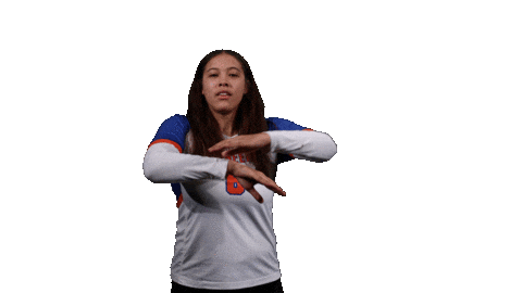 Uwp Sticker by University of Wisconsin Platteville Volleyball