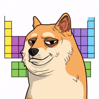 Shiba Inu Dog GIF by Doge Pound