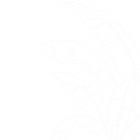 Leafs Sticker