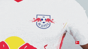 Happy Rb Leipzig GIF by Bundesliga