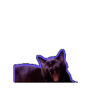 Dont Touch Me Go Away Sticker by Rod Kim