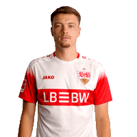 Nevermind Jako Sticker by VfB Stuttgart 1893