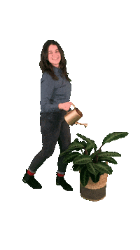 LifeAndGardenEttenLeur water plant plants lg Sticker