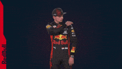 Ver Red Bull GIF by Red Bull Racing Honda