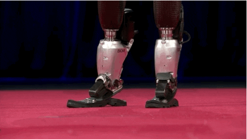 show tech GIF