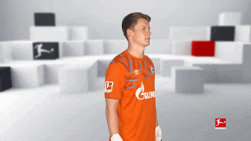 Turning Line Up GIF by Bundesliga
