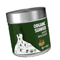Seaweed Flakes Sticker by Avafina Organics